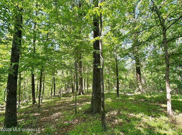 Malmaison Road, Carrollton, MS 38917