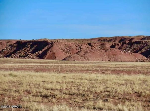 15 Co Rd N7284 40 Acres, Chambers, AZ 86502