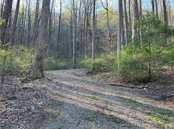 N Ledge Trail, Fancy Gap, VA 24328