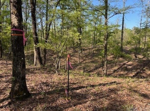 0 Grant County Rd 291020, Prattsville, AR 72129