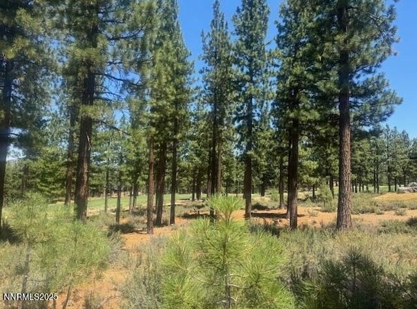 184 Redding Way unit: 261, Carson City, NV 89705