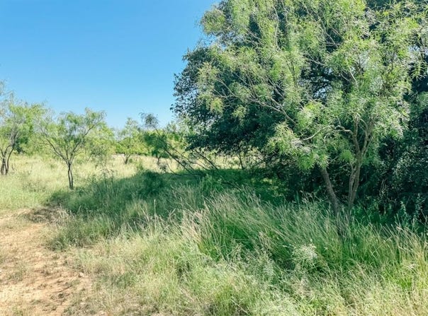 Lot 4 Morris Sheppard Drive, Brownwood, TX 76801
