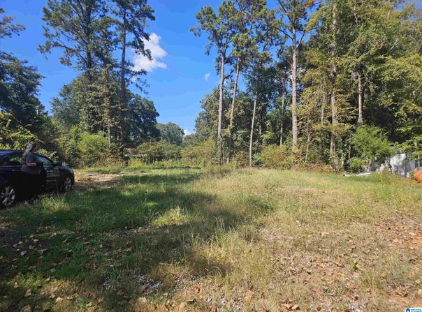 107 BROADLEAF DRIVE lot: 90, TALLADEGA, AL 35160