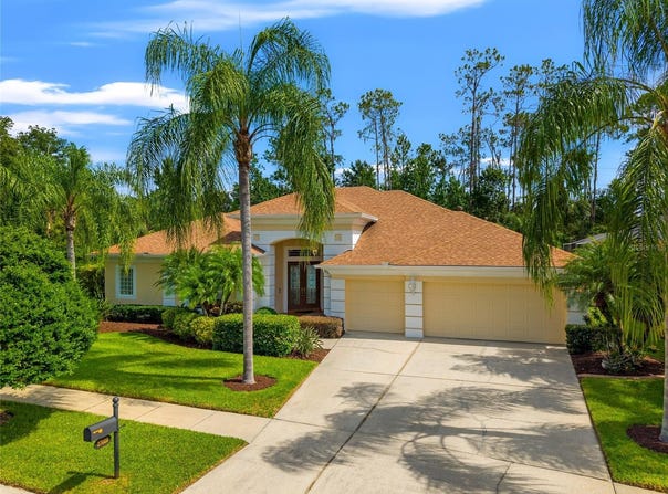 27009 LAUREL CHASE LANE, WESLEY CHAPEL, FL 33544