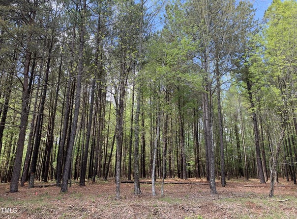 Tbd Henry Oldham Road, Bear Creek, NC 27207