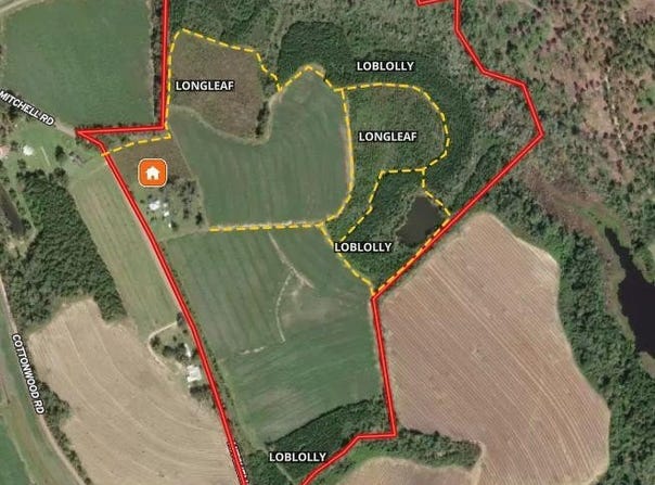 1168 Mitchell Road (112 Acres), Meigs, GA 31765