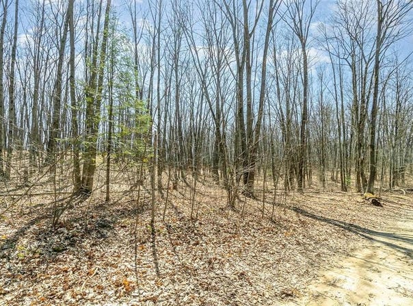 Nancy Ann Drive, Gladwin, MI 48624