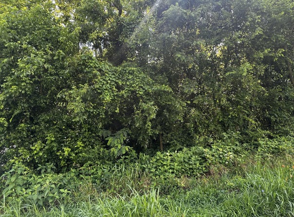 349 Hyatt Lane, Whitesburg, TN 37891