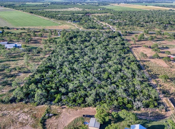 1181 STATE HIGHWAY 173, Bigfoot, TX 78005