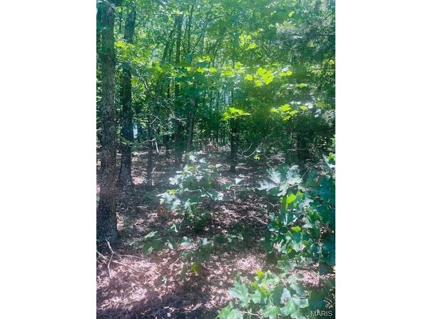 0 Villa Vista Drive, Owensville, MO 65066