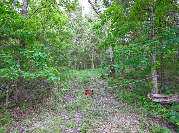 000 County Rd 424, Squires, MO 65755