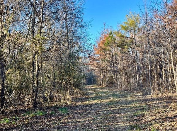 3672 Highway 582 East, Forest, LA 71242