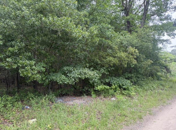 0000 Larkin Drive, Orangeburg, SC 29115