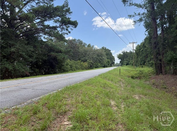 Toni Branch Road, Ellabell, GA 31308