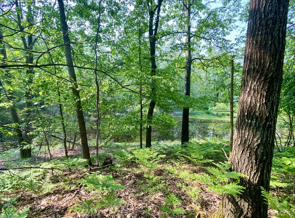 1086, 1087 Michaywe Drive lot: 1086,1087, Gaylord, MI 49735