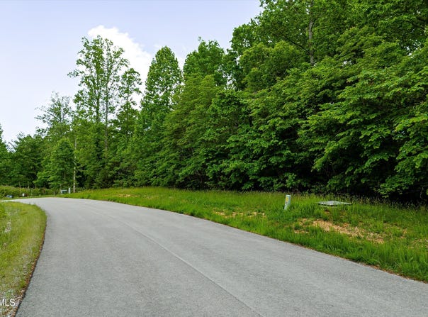 Lot 240 Tanzanite Trail, New Tazewell, TN 37825