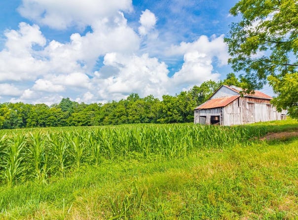 3188 St Rt 125, West Union, OH 45693