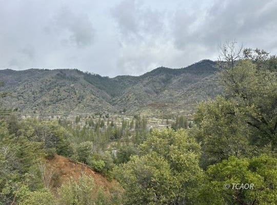 240 Rasmussen Ln., Junction City, CA 96048
