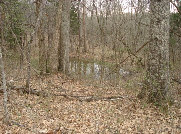 1551 Santa Fe Road, Brooksville, KY 41004