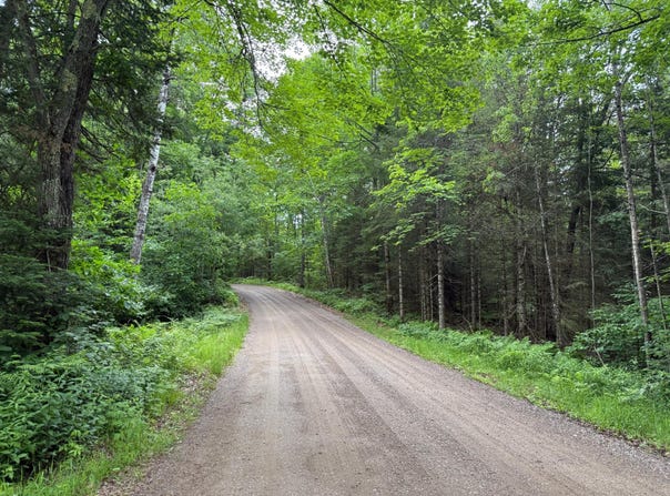 40ac STEELE RD, Harshaw, WI 54529