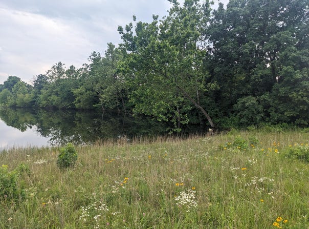 Bison Road, Crocker, MO 65452