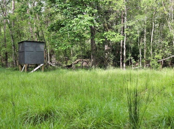 Hwy 442, Tickfaw, LA 70466
