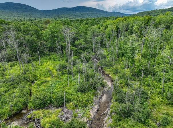 Center Hill Road, Weld, ME 04285