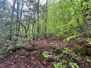 Lot 139  Bear Den Trl, Grandview, TN 37337