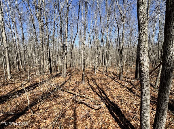 Veterans Lookout, Wilder, TN 38589