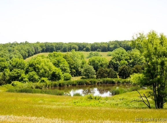 Tbd County Side Road, Iberia, MO 65486