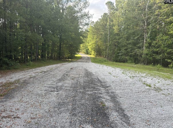 320 Dewdrop Drive, Ridgeway, SC 29130