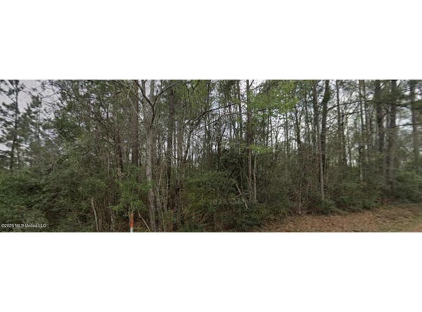 Mixon Lake Road, Lucedale, MS 39452