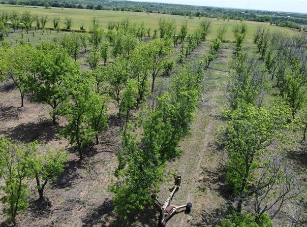 Tbd Fm-2861, Comanche, TX 76442