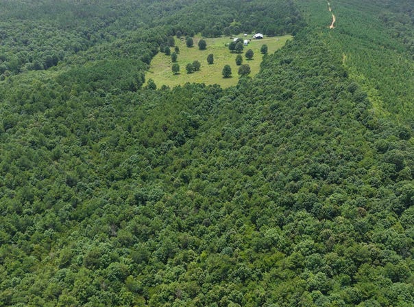 TBD East Tract Weaver Lane, Grannis, AR 71944
