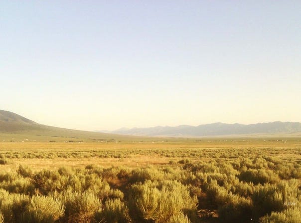 Eucalyptus Street, Montello, NV 89830