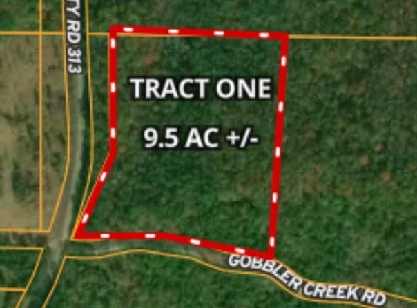 Tract 1 - Gobbler Creek Road, Wedowee, AL 36278