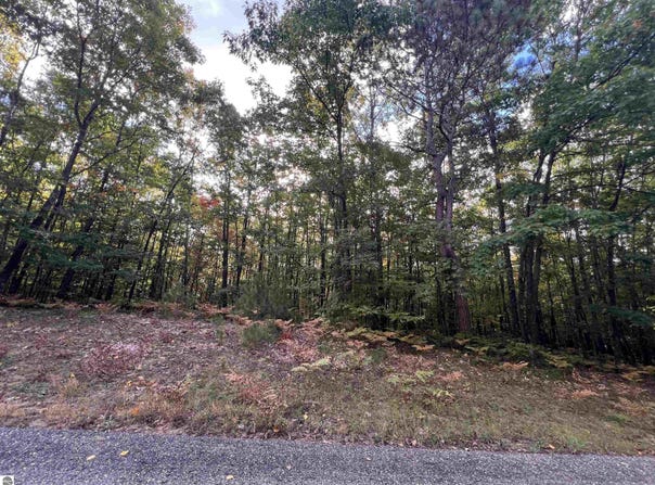 LOT 53 BRAMBLEWOOD DRIVE, CADILLAC, MI 49601