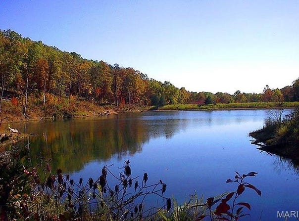 0 Off Wayne 349A, Piedmont, MO 63957
