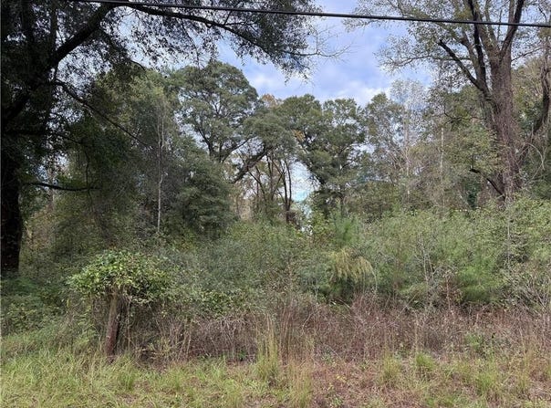 43 Ole Creek Road, Pittsview, AL 36871