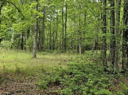 0 2 Lake Trl, Dunlap, TN 37327