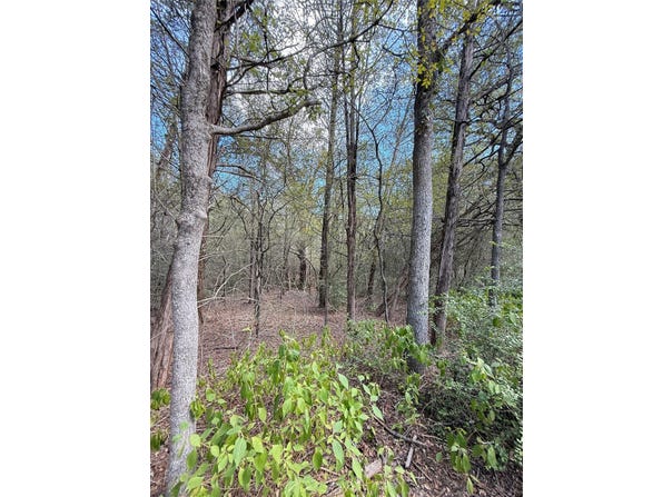 Hanauma, Bastrop, TX 78602