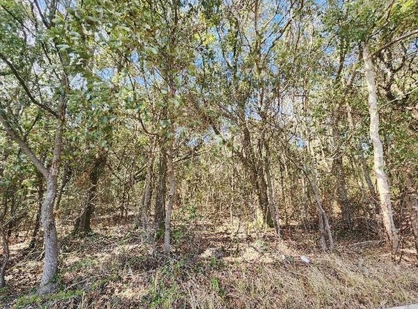 0 Hurricane Boulevard, Irvington, AL 36544