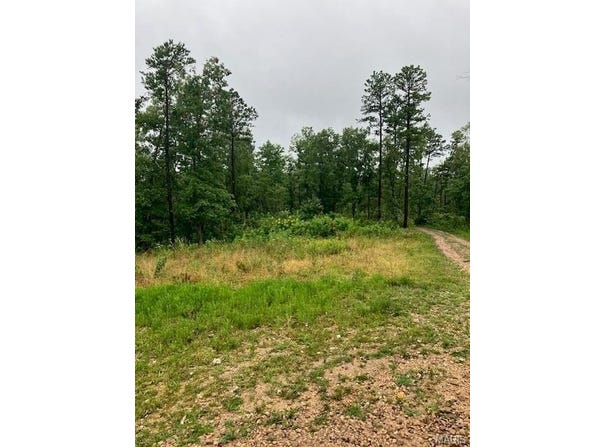 67 Madison CR 410, Fredericktown, MO 63645