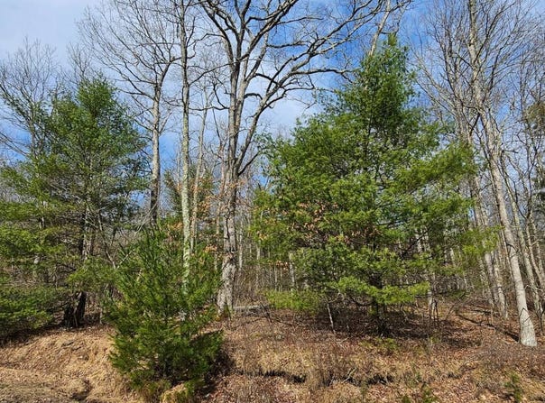 Lot 20.22 Woods Rd, Highland, NY 12719