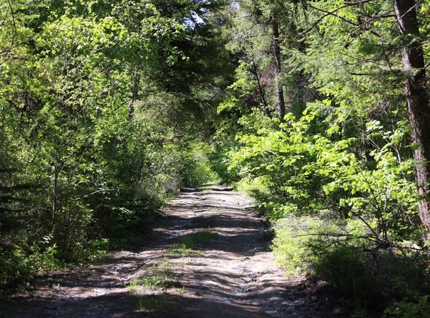 NHN Patrick Creek Road, Kalispell, MT 59901