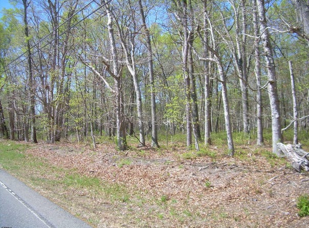 0 mazzini, Buena Vista Township, NJ 08310