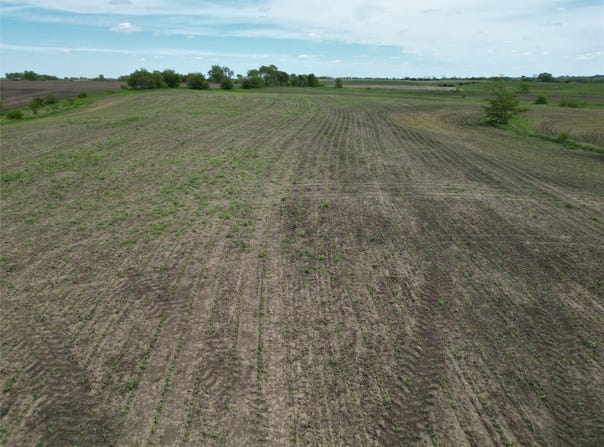 Lark Avenue, IA 50831
