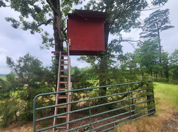 Murphy Rd, Norman, AR 71960-9999