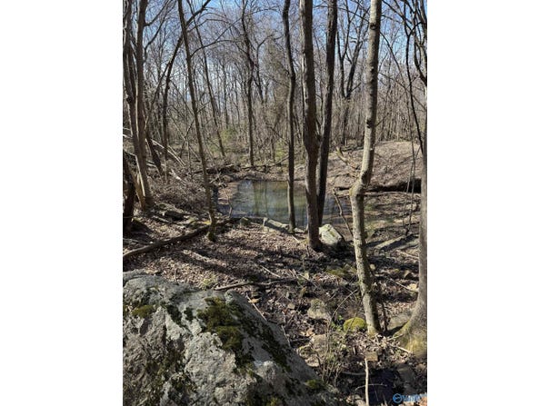 2901 County Road 111, Skyline, AL 35768