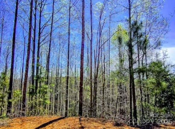 153 Westridge Drive, Bostic, NC 28018